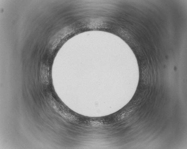 X0000052610592200507292151