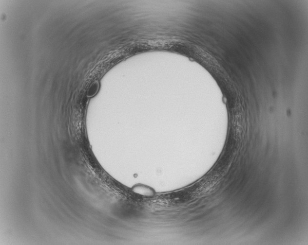 X0000052610593200507292151