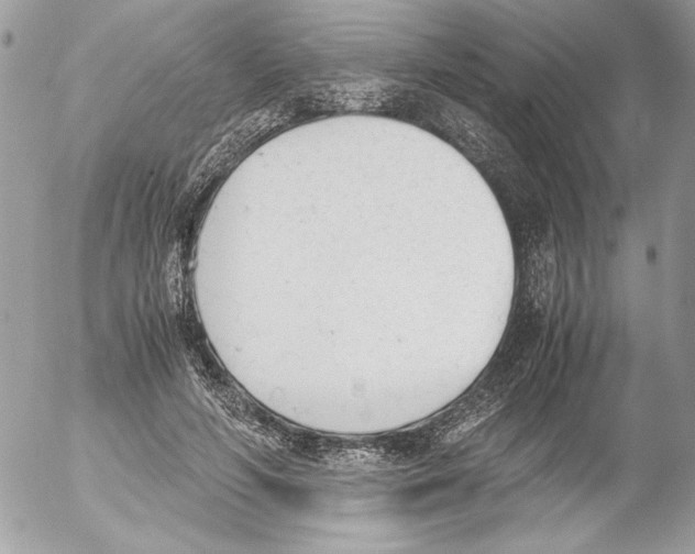 X0000052610594200507292151