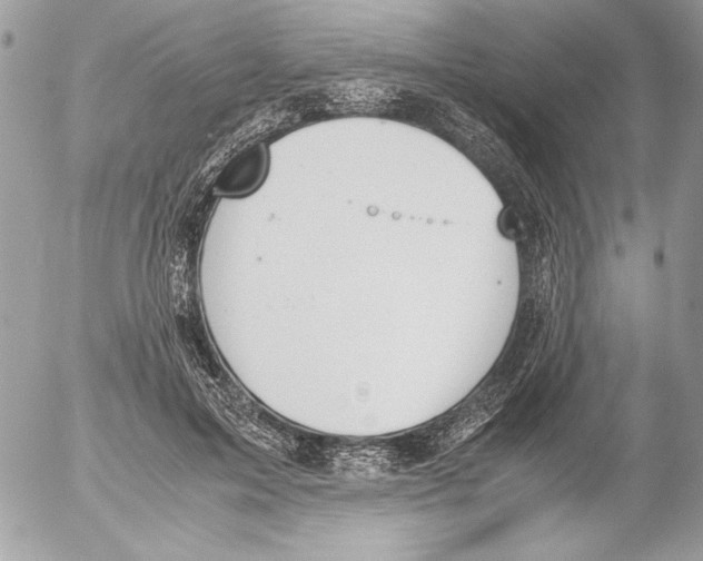 X0000052610599200507292151