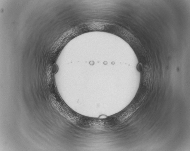 X0000052610600200507292150