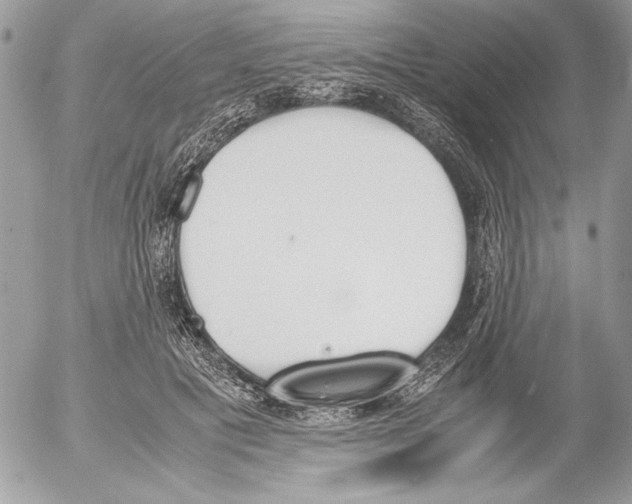 X0000052610601200507292150