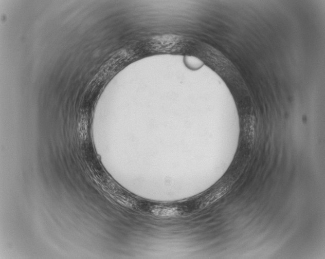 X0000052610602200507292150