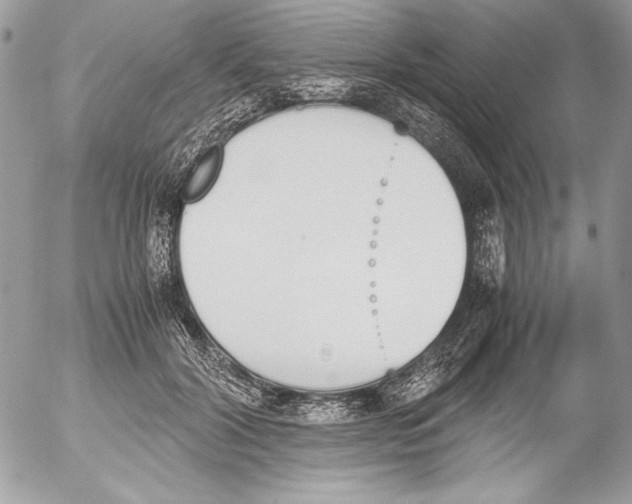 X0000052610604200507292150