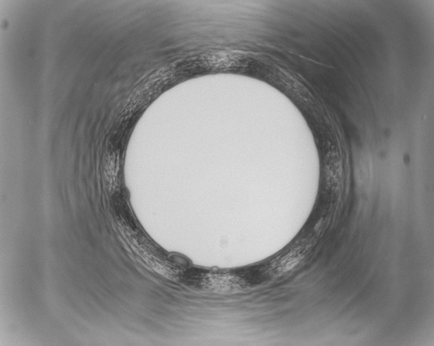 X0000052610605200507292150