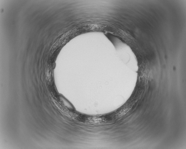 X0000052610607200507292150