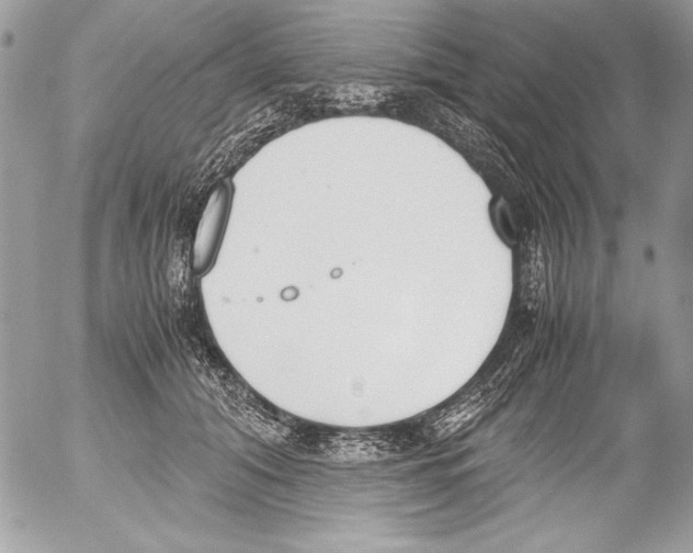 X0000052610608200507292150