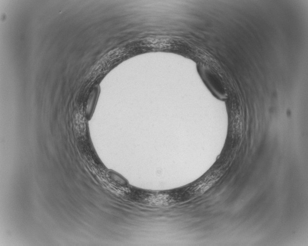 X0000052610609200507292150