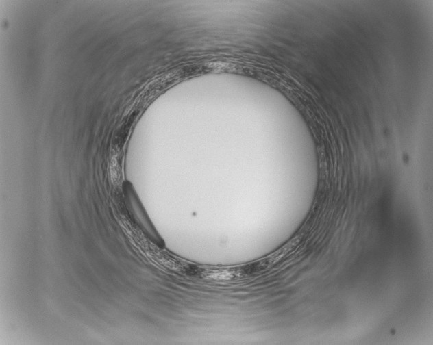 X0000052610611200507292150