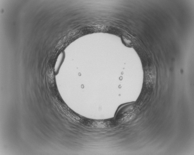 X0000052610613200507292150