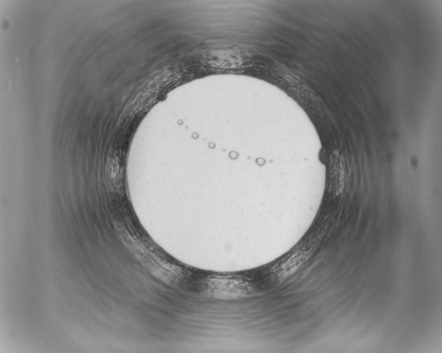 X0000052610614200507292150