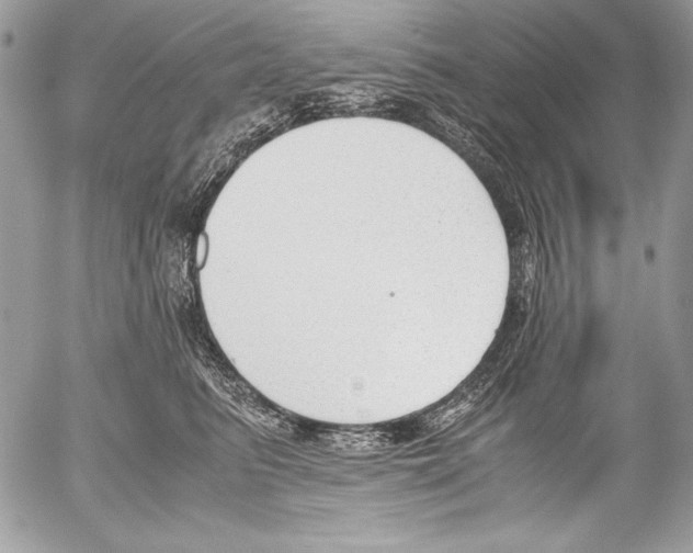 X0000052610615200507292150