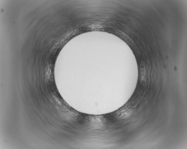 X0000052610618200507292150