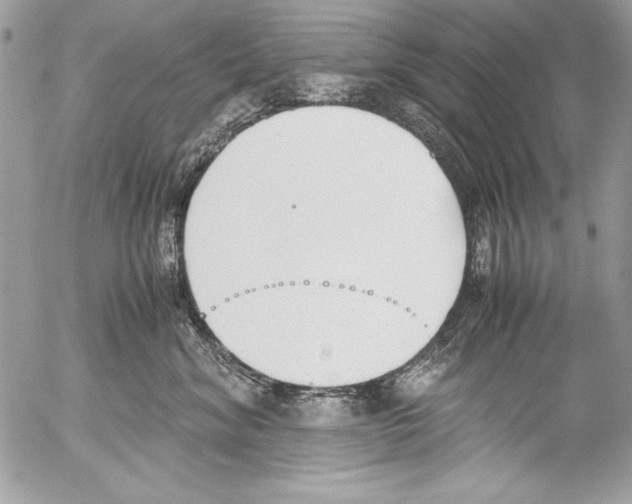 X0000052610620200507292150