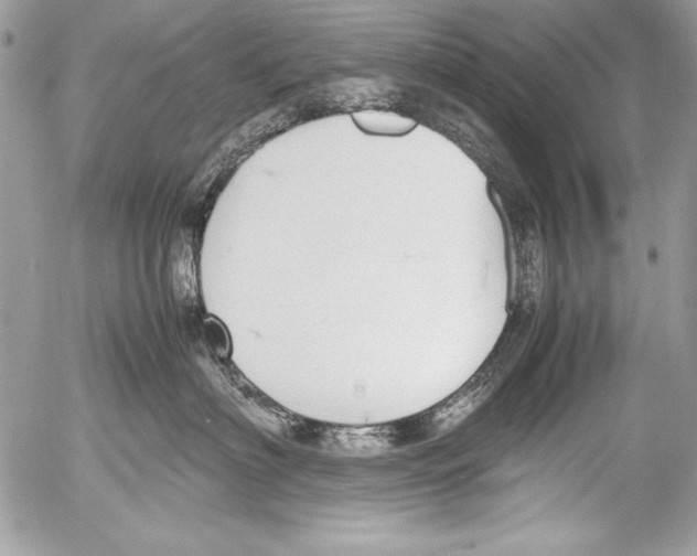 X0000052610622200507292150