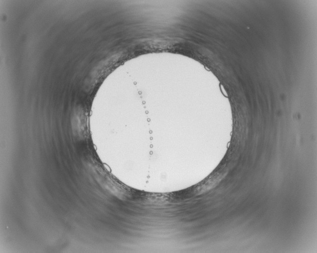 X0000052610624200507292150