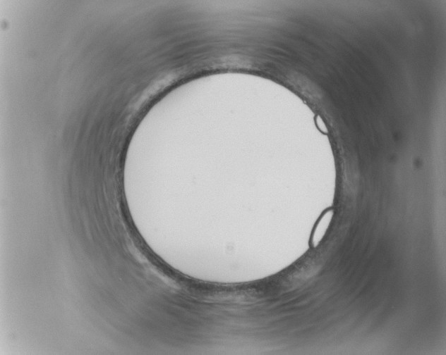 X0000052610625200507292149