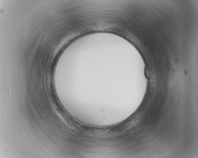 X0000052610626200507292149