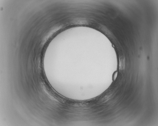 X0000052610627200507292149