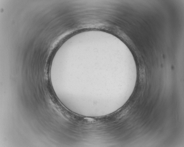 X0000052610628200507292149