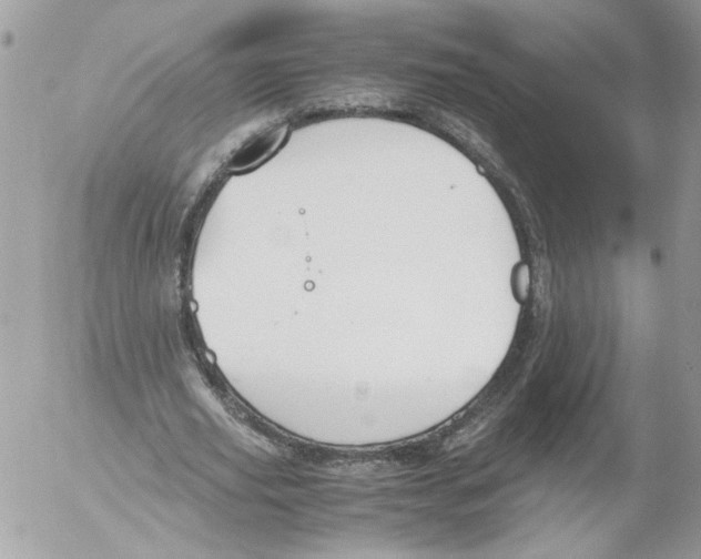 X0000052610629200507292149