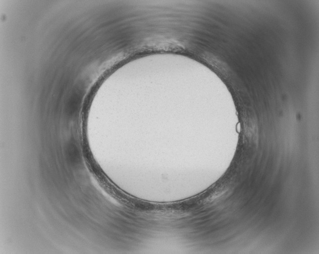 X0000052610630200507292149