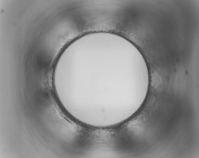 X0000052610632200507292149