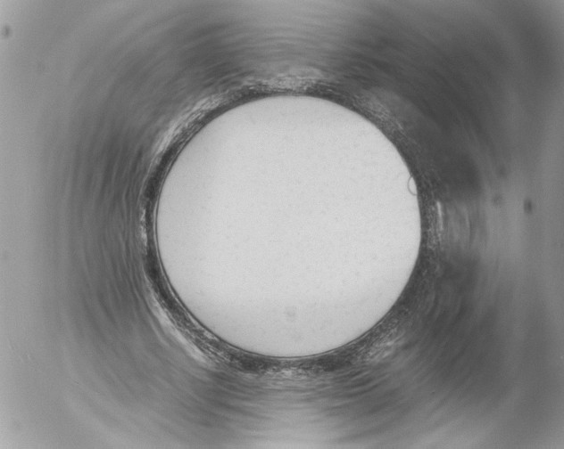 X0000052610634200507292149