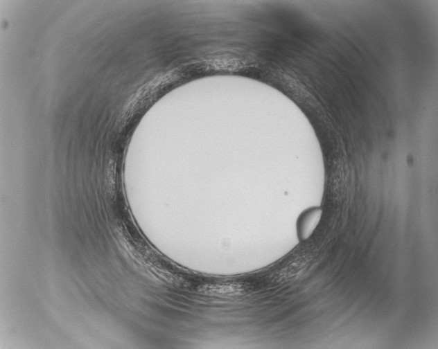 X0000052610639200507292150