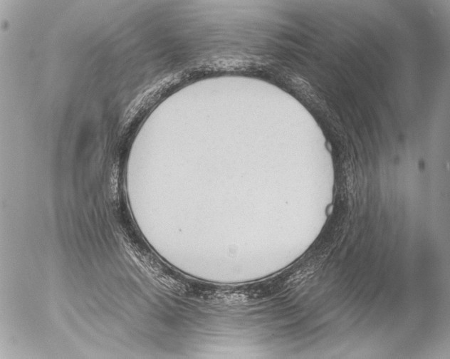 X0000052610640200507292150