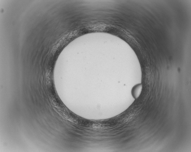 X0000052610641200507292150