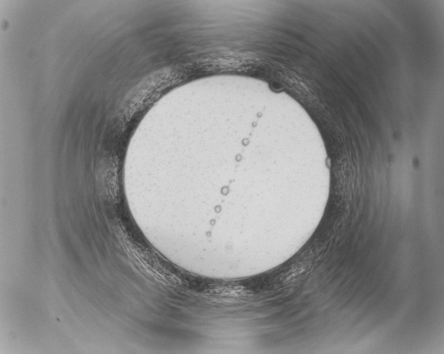 X0000052610642200507292150