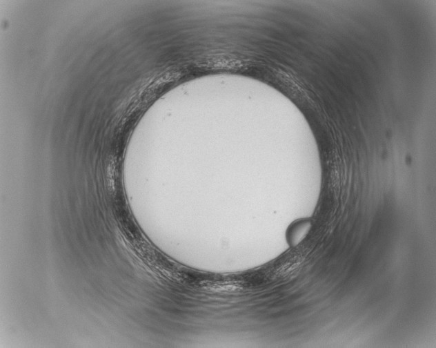 X0000052610643200507292150