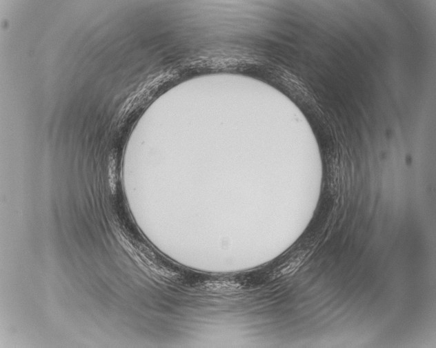 X0000052610644200507292150