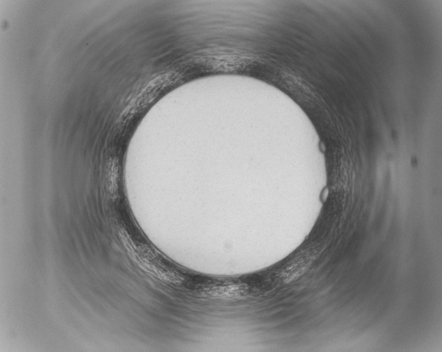 X0000052610646200507292150