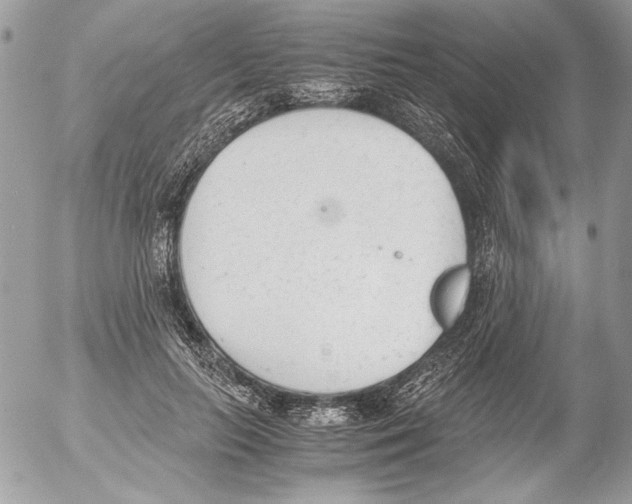 X0000052610647200507292150