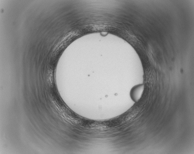 X0000052610648200507292150