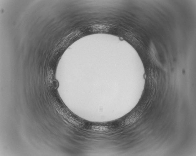 X0000052610649200507292150