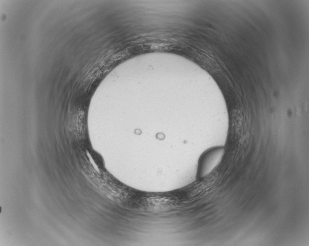 X0000052610650200507292150