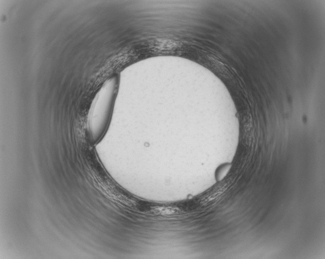 X0000052610654200507292150