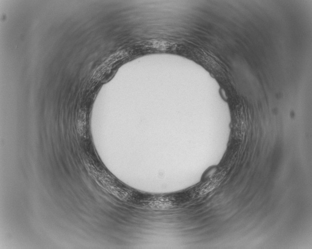 X0000052610656200507292150