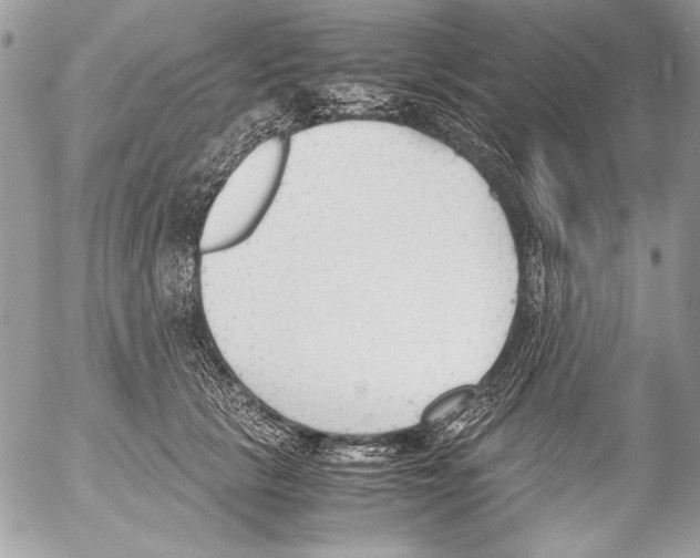 X0000052610657200507292150