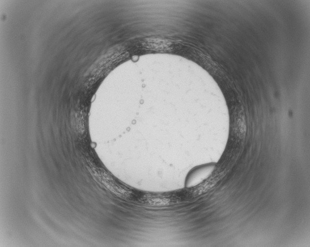 X0000052610658200507292150