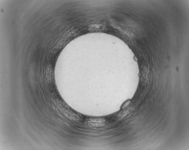 X0000052610659200507292150