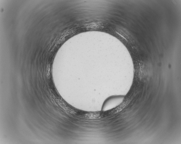 X0000052610660200507292150