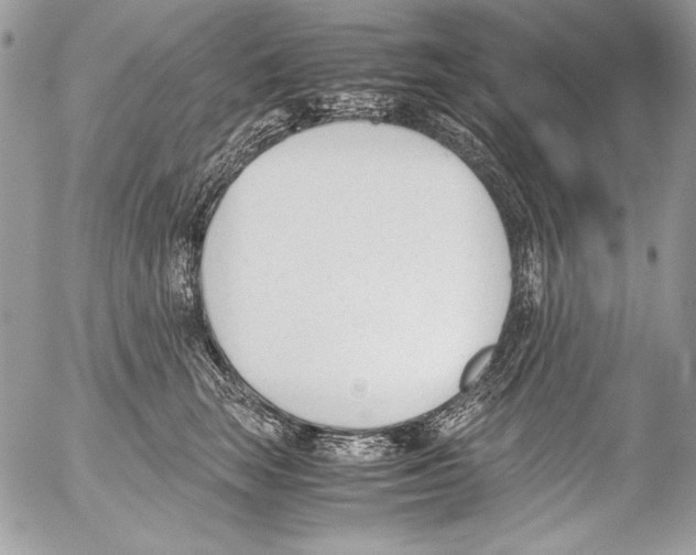 X0000052610663200507292150