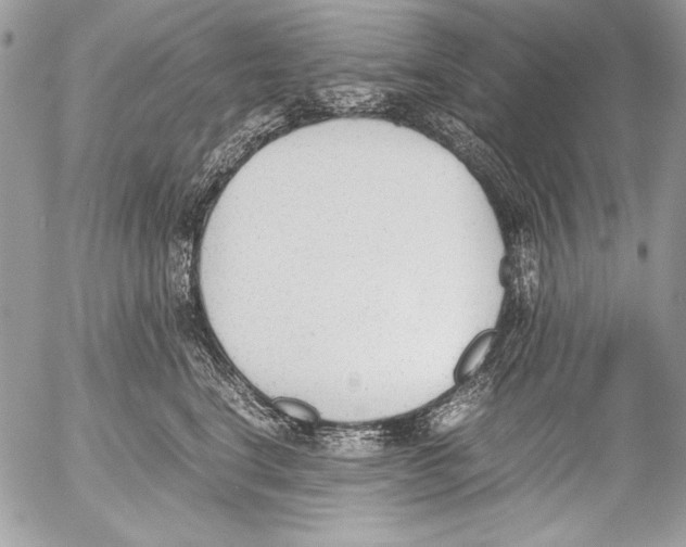 X0000052610664200507292150