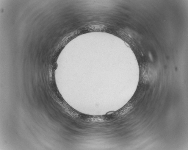 X0000052610668200507292150