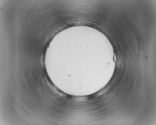 X0000052610670200507292150