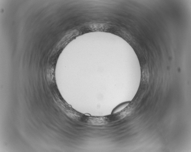 X0000052610671200507292150